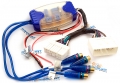 aih-jagap AMP integration